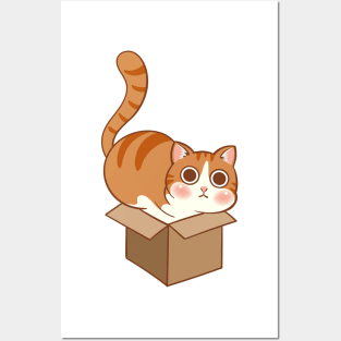 Orange cat in the box Posters and Art